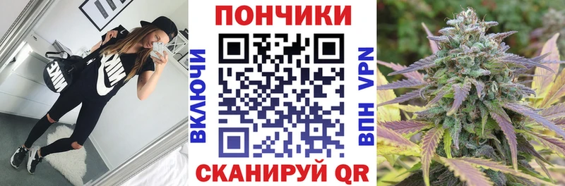 Бошки Шишки гибрид  Ильский 
